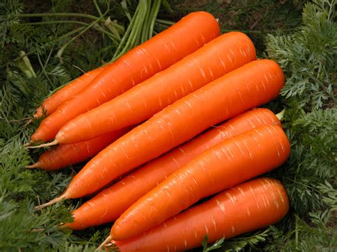 Carrots: Pam's, 25lbs
