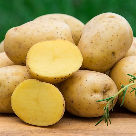 Potatoes: Yukon Gold, 50lbs